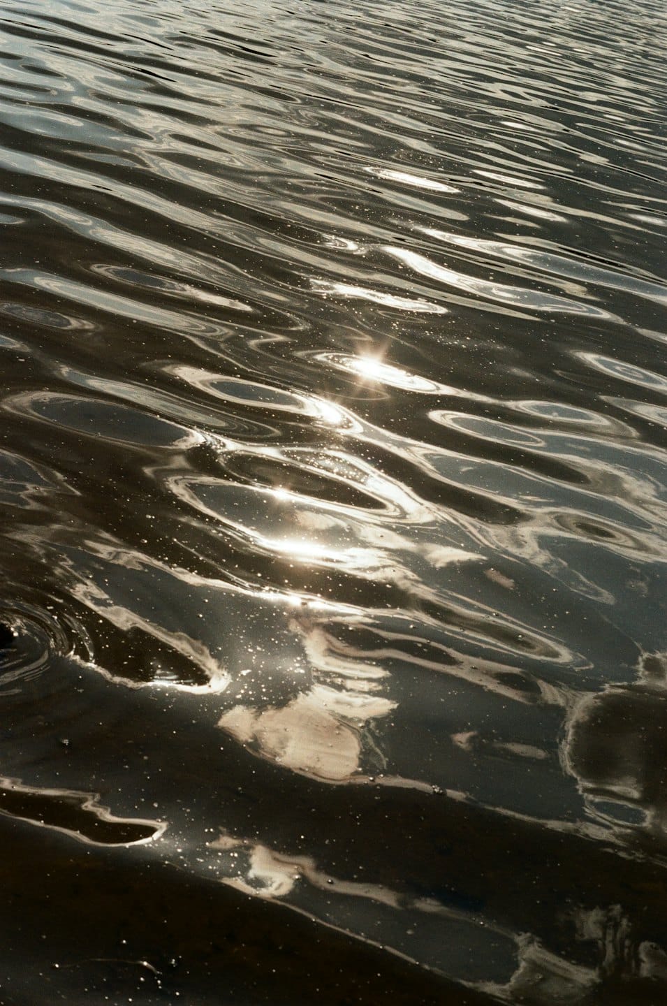 La luce del sole si riflette sulle increspature dell'acqua in movimento.