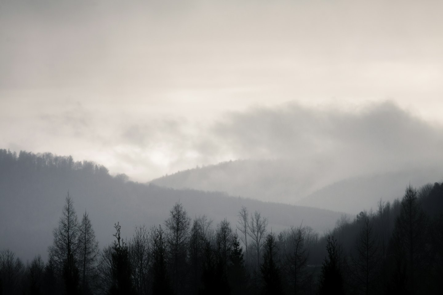 Montagne e alberi nebbiosi in toni morbidi ed eterei.